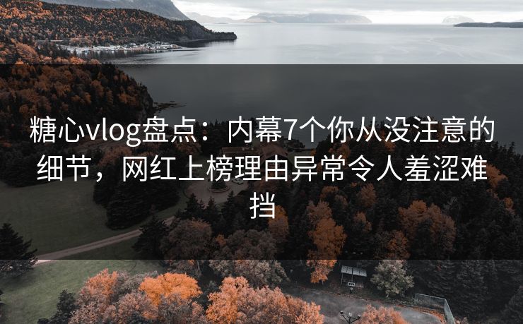糖心vlog盘点：内幕7个你从没注意的细节，网红上榜理由异常令人羞涩难挡