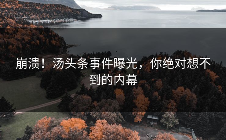 崩溃！汤头条事件曝光，你绝对想不到的内幕