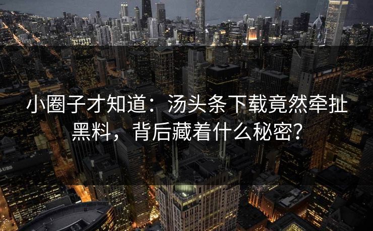 小圈子才知道：汤头条下载竟然牵扯黑料，背后藏着什么秘密？