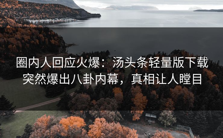 圈内人回应火爆：汤头条轻量版下载突然爆出八卦内幕，真相让人瞠目