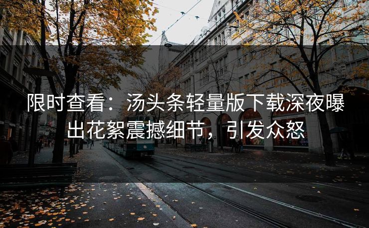 限时查看：汤头条轻量版下载深夜曝出花絮震撼细节，引发众怒