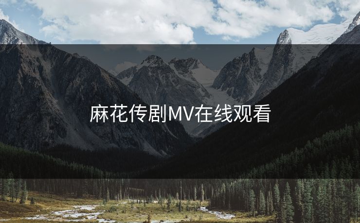 麻花传剧MV在线观看