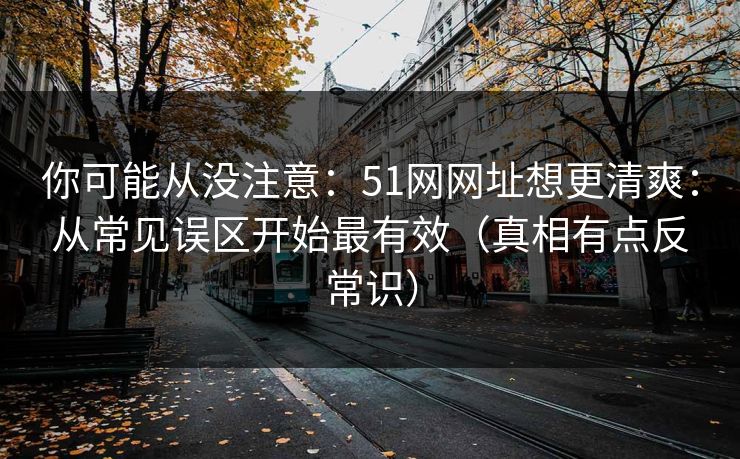你可能从没注意：51网网址想更清爽：从常见误区开始最有效（真相有点反常识）