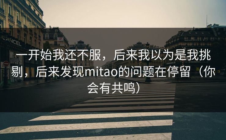 一开始我还不服，后来我以为是我挑剔，后来发现mitao的问题在停留（你会有共鸣）
